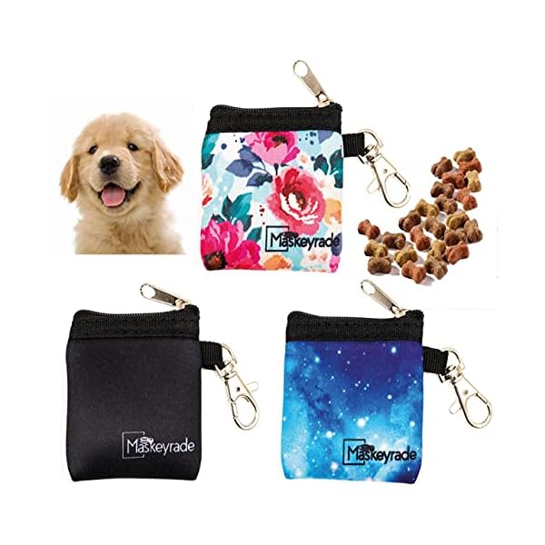 small bag for dog walking