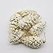 Yoland Frosted Plastic Pinecone Shape Shatterproof Luxury Christmas Ornaments Tree Garnish for Xmas, Party, Any Holiday Decorations 6Pcs ( 2.75'' Pinecone Shape, Gold)