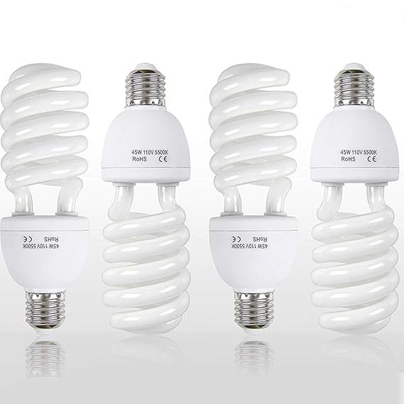 Slow Dolphin Photo CFL Full Spectrum Light Bulb