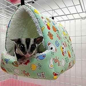 LiféUP Amaca Invernale per Animali Guinea Guinea, Maiale Coniglio Coniglio Riccio Zucchero aliante Scoiattolo Criceto… LifeUp LiféUP Amaca Invernale per Animali Guinea Guinea, Maiale Coniglio Coniglio Riccio Zucchero aliante Scoiattolo Criceto…