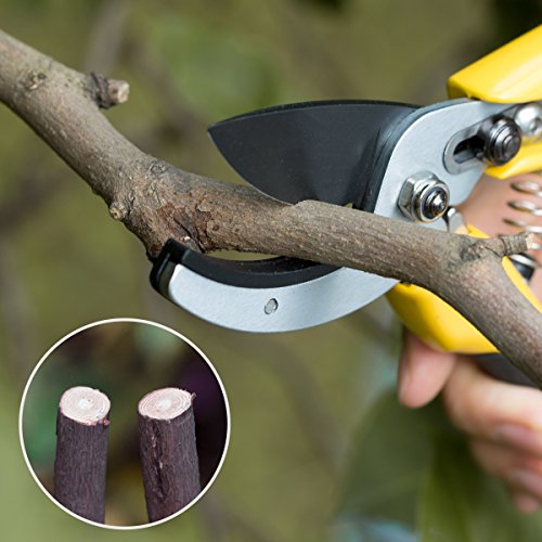 Anvil Pruning Shears 8 inch Professional SK-5 Steel Blade Sharp Gardening Scissors Flower Hand Pruners Garden Clippers