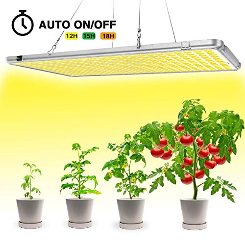 Mars Hydro 300W LED Grow Light Review Things You should know before