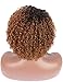 Kalyss 100% Human Hair Afro Short Curly Wavy 2 Tones Ombre Brown Black Roots Wigs for Black Women Lace hair wigs Side L Parting Bouncy Wigs