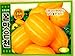 Melon Seeds Korean 2pack