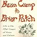 Bean Camp to Briar Patch-Life in the POW Camps of Korea and Vietnam by John N. Powers