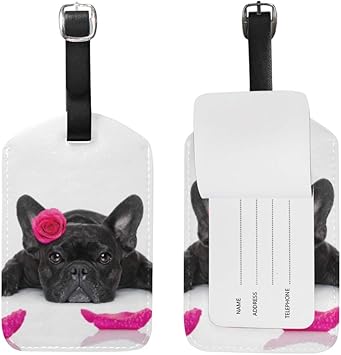 french bulldog suitcase