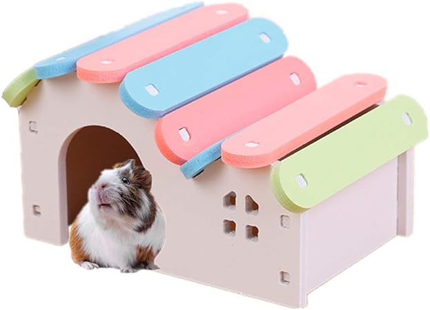 hamster accessories amazon