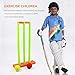 Hamkaw Kids Cricket Set, Cricket Stumps Spring Base,Backyard Cricket Sets - Kwik Cricket -NBR Rubber Water Proof Contents Bat, Ball, Stumps, Bail.