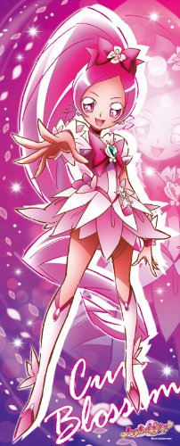 ハートキャッチプリキュア 等身大タペストリー キュアブロッサムの買取価格 相場 高価買取なら買取一括比較のウリドキ