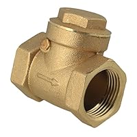 bstinay Economical Durable 3/4" BSPP Swing Check Valve with Female Threaded Brass