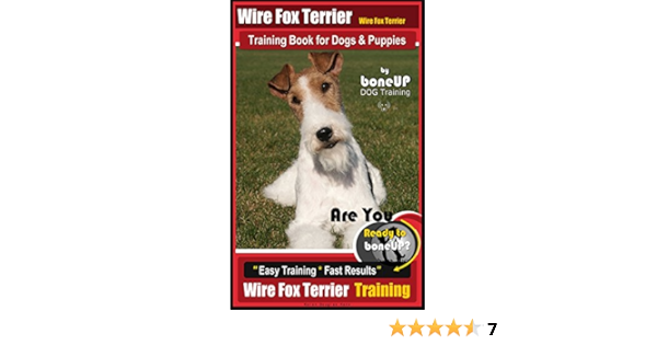 wire haired terrier adoption