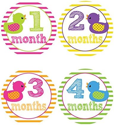 Rubber Ducky Themed Baby Belly Stickers - Month Onesie Stickers