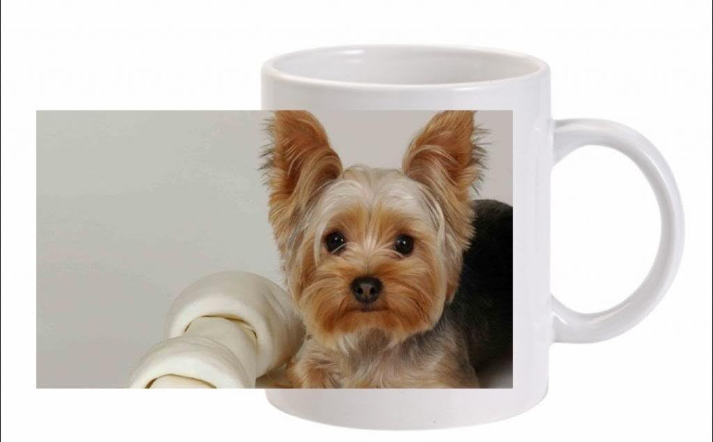 The Lazy Cow Yorkshire Terrier (Young) CERAMIC MUG - DISHWASHER PROOF (FC) 262