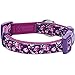 Blueberry Pet Soft & Comfy Rose Print Plum Purple Padded Adjustable Dog Collar, Large, Neck 18