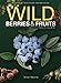 Wild Berries & Fruits Field Guide of Minnesota, Wisconsin and Michigan (Wild Berries & Fruits Identification Guides)