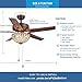RainierLight Classical Crystal Ceiling Fan Lamp LED Light for Bedroom/Living Room Hotel/Restaurant with 5 Premium Metal Reversible Blades Remote Control 48 Inch