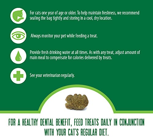 6 Feline+Greenies+Dental+Treats+Holiday