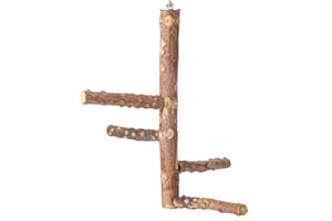 KINTOR Bird Perch Nature Wood Stand for 3-4pcs Small Medium Parrots (M)