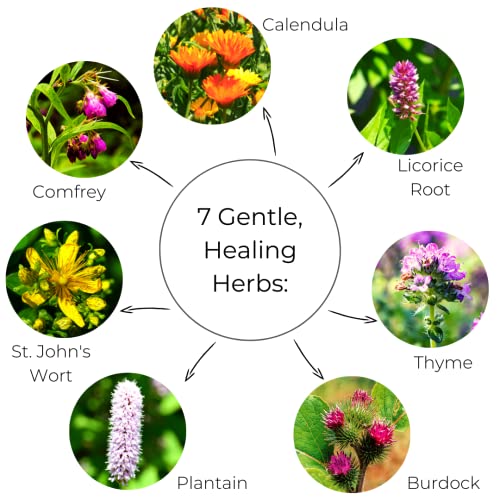 Ora's Amazing Herbal, Touchy Skin Salve, Eczema Cream Treatment, Anti-Itch Cream for Kids and Adults, Calendula Ointment for Natural Sensitive, Fragrance Free, Dry Skin Balm 1 oz Travel Size