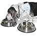 PetFusion Premium Brushed Anti-Tip Dog & Cat Bowls (Set of 2 Bowls). Food Grade Stainless Steel. Bonded Silicone Ring for Traction, Metallic, 32 oz