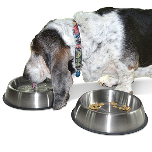PetFusion Premium Brushed Anti-Tip Dog & Cat Bowls (Set of 2 Bowls). Food Grade Stainless Steel. Bon - //medicalbooks.filipinodoctors.org