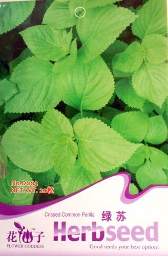 Business sasha Each Pack 20 SEED Chinese Herb Leaf Gen-Neep Shiso Crisped Common Perilla (1)