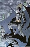 Batman - Cape Poster 22 x 34in