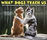 What Dogs Teach Us 2020 Box Calendar by