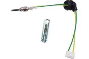 STDKDFW Glow Plug Repair Kit,12V Air Diesel Parking Heater Part Kit with Removal Fitting Tool+Glow Plug+ Ceramic Gaskets Strainers for Webasto Eberspacher D2 D4 D4S 75w-98w