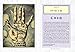 The Handbook of Palmistry