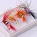 BLISSWILL 96Pcs Fly Fishing Lures Dry Flies Set Floating Flies Hooks for Bass Salmon Trout