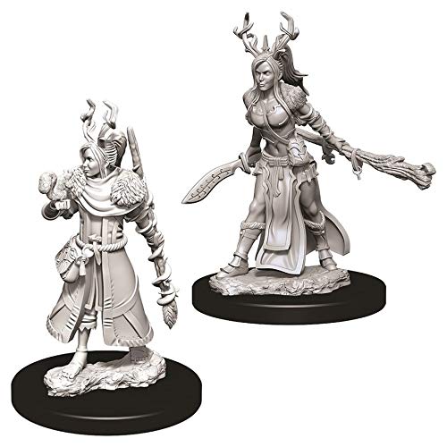 Dungeons & Dragons Nolzur`s Marvelous Unpainted Miniatures: W9 Female Human Druid