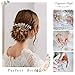 Brishow Bride Rhinestones Wedding Hair Comb Clips Silver Bridal Hair Piece Crystal Hair Accessory for Women and Girls