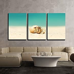 3 Piece Canvas Wall Art - Hermit Crab on Beach at Maldives - Modern Home Art Stretched and Framed Ready to Hang - 16"x24"x3 Panels