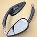 SMT-Skull Flame Side Mirrors Compatible With 1984-2014 universal to most Harley Night Train FXSTB Black [B00RUDWX4G]