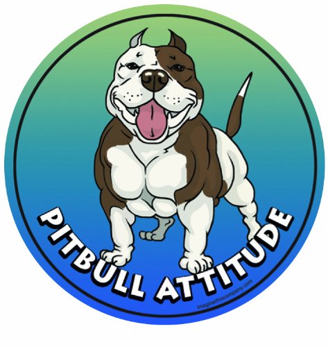 Imagine This 4-3/4-Inch by 4-3/4-Inch Car Magnet Dog Attitude, Pit Bull