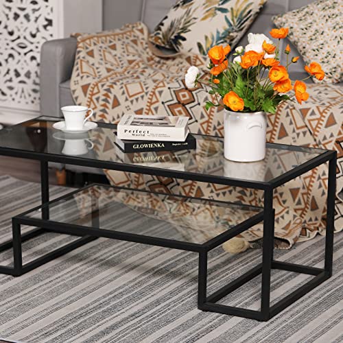 Sophia & William Glass Coffee Table with Storage Shelf, Modern