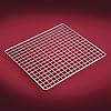 STX-INTERNATIONAL-Dehydra-STX-DEH-1200W-XLS-10-Tray-Stainless-Steel-Digital-Food-Dehydrator-1200-watt