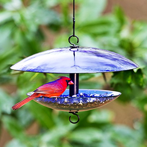 Mosaic Birds M380 201 15 Baffle Dome Bird Feeder Clear Cobalt Blue