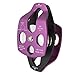 Fusion Climb Secura Double Aluminum Side Swing Pulley Purple