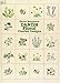 Danish Floral Charted Designs (Dover Embroidery, Needlepoint) by