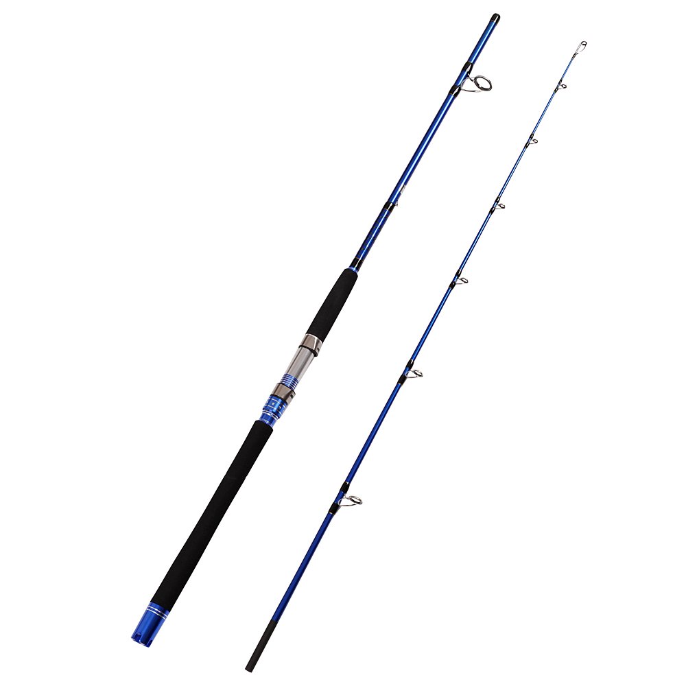 2 Piece Saltwater Fishing Rod Fiblink 1Piece/2Piece Saltwater