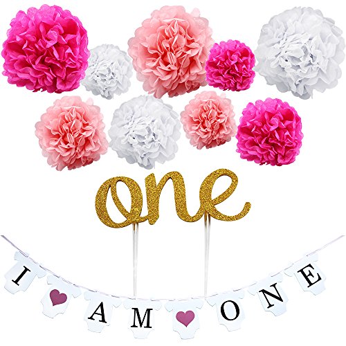 KUNGYO Girl s First Birthday Party Decoration Kit- Pink Sweet Heart â€œI am Oneâ€Bunting Banner+9 Pcs Tissue Paper Flower Pom Poms Garland+Gold â€œOneâ€Cake Topper-Perfect 1ST Party Supplies
