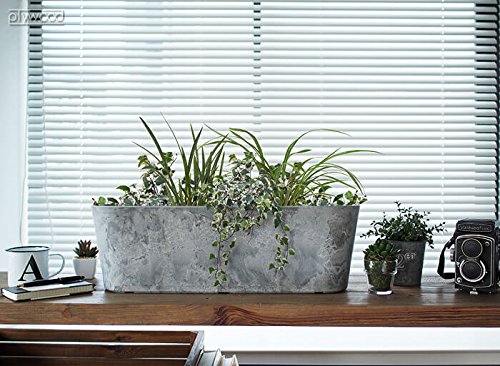 家庭菜園の初心者が育てやすい野菜とおすすめのプランターを紹介 ベランダで出来るおいしい野菜