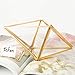 Tchan Glass Plant Terrarium Succulent Planter Prism Geometric Tabletop Brass Glass Artificial Home Decor (Gold)