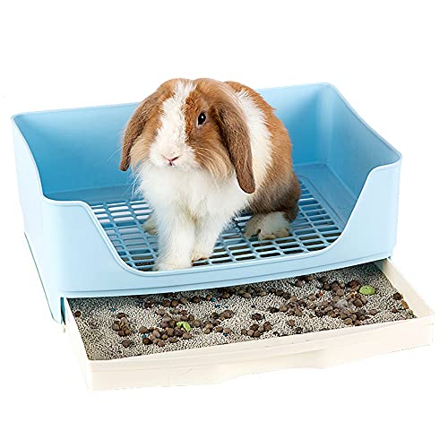 small pet litter box
