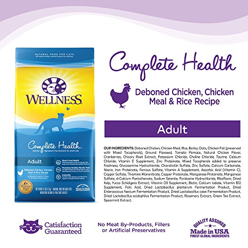 Wellness Complete Health Natural Dry Cat Food, Deboned Chicken, Chicken