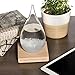 Marici Storm Glass Water Drops Weather Forecast Predictor Meteorological Display with Motivational Message Large with Base Stand
