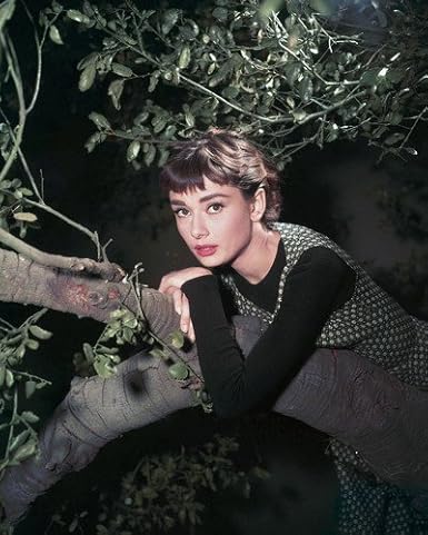 Audrey Hepburn In Sabrina Posing In Tree Lovely 1954 Color 8x10