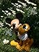 Design International Group Garden Statue-Mickey & Pluto , 12 X 12 Inches